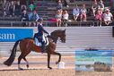 Filename=PT9_6897.JPG
Filesize=457KiB
Dimensions=1224x817
Date added=Jul 20, 2023 PT9_6897.JPG