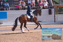 Filename=PT9_6903.JPG
Filesize=487KiB
Dimensions=1224x817
Date added=Jul 20, 2023 PT9_6903.JPG