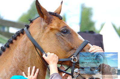 2023 Folksam Open 6-åriga hästar | Semifinal 1 - 1.30
Keywords: pt;victorie almgren;be my light