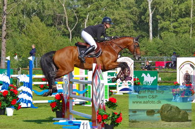 2023 Folksam Open 6-åriga hästar | Semifinal 1 - 1.30
Keywords: pt;anne-katrine kolborg;hesselhoej captain morgan