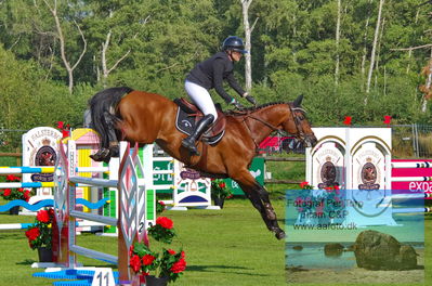 2023 Folksam Open 6-åriga hästar | Semifinal 1 - 1.30
Keywords: pt;anne-katrine kolborg;hesselhoej captain morgan