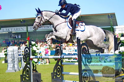2023 Folksam Open 6-year Old Horses - Final
Keywords: pt;spezial diamond;evelyn sander