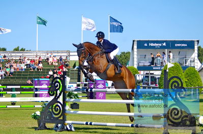 2023 Folksam Open 6-year Old Horses - Final
Keywords: pt;mie mundberg;aura ravnes-have