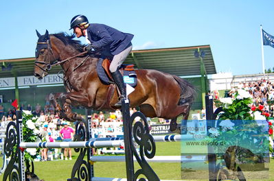 2023 Folksam Open 6-year Old Horses - Final
Keywords: pt;frost;fredrik jönsson