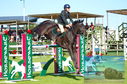 Filename=DSC_4283~0.JPG
Filesize=445KiB
Dimensions=1229x814
Date added=Jul 17, 2023 DSC_4283~0.JPG