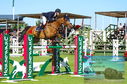 Filename=DSC_4321~0.JPG
Filesize=454KiB
Dimensions=1229x814
Date added=Jul 17, 2023 DSC_4321~0.JPG