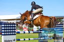 Filename=DSC_4449.JPG
Filesize=330KiB
Dimensions=1229x814
Date added=Jul 17, 2023 DSC_4449.JPG