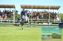 Filename=DSC_4561~0.JPG
Filesize=452KiB
Dimensions=1229x814
Date added=Jul 17, 2023 DSC_4561~0.JPG