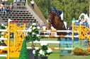 Filename=DSC_4659.JPG
Filesize=445KiB
Dimensions=1229x814
Date added=Jul 17, 2023 DSC_4659.JPG
