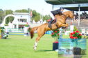 Filename=DSC_4730.JPG
Filesize=465KiB
Dimensions=1229x814
Date added=Jul 17, 2023 DSC_4730.JPG