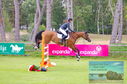 Filename=DSC_4919.JPG
Filesize=495KiB
Dimensions=1229x814
Date added=Jul 18, 2023 DSC_4919.JPG