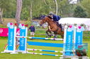Filename=DSC_4923.JPG
Filesize=448KiB
Dimensions=1229x814
Date added=Jul 18, 2023 DSC_4923.JPG