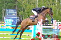 Filename=DSC_4975.JPG
Filesize=436KiB
Dimensions=1229x814
Date added=Jul 18, 2023 DSC_4975.JPG