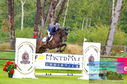Filename=DSC_4986.JPG
Filesize=522KiB
Dimensions=1229x814
Date added=Jul 18, 2023 DSC_4986.JPG