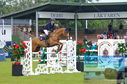 Filename=DSC_7076.JPG
Filesize=456KiB
Dimensions=1229x814
Date added=Jul 20, 2023 DSC_7076.JPG