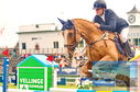 Filename=DSC_7078.jpg
Filesize=365KiB
Dimensions=1229x814
Date added=Jul 20, 2023 DSC_7078.jpg