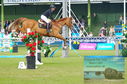 Filename=DSC_7140.JPG
Filesize=475KiB
Dimensions=1229x814
Date added=Jul 20, 2023 DSC_7140.JPG