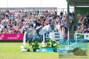 Filename=DSC_7460.JPG
Filesize=533KiB
Dimensions=1229x814
Date added=Jul 20, 2023 DSC_7460.JPG