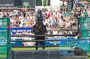 Filename=DSC_7483.JPG
Filesize=539KiB
Dimensions=1229x814
Date added=Jul 20, 2023 DSC_7483.JPG