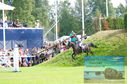 Filename=DSC_7490.JPG
Filesize=538KiB
Dimensions=1229x814
Date added=Jul 20, 2023 DSC_7490.JPG