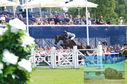 Filename=DSC_7492.JPG
Filesize=440KiB
Dimensions=1229x814
Date added=Jul 20, 2023 DSC_7492.JPG