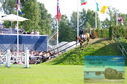 Filename=DSC_7584.JPG
Filesize=530KiB
Dimensions=1229x814
Date added=Jul 20, 2023 DSC_7584.JPG
