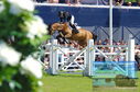 Filename=DSC_7586.JPG
Filesize=349KiB
Dimensions=1229x814
Date added=Jul 20, 2023 DSC_7586.JPG