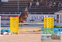 Filename=PT9_4427.JPG
Filesize=450KiB
Dimensions=1224x817
Date added=Jul 14, 2023 PT9_4427.JPG