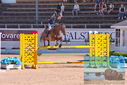 Filename=PT9_4428.JPG
Filesize=455KiB
Dimensions=1224x817
Date added=Jul 14, 2023 PT9_4428.JPG