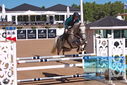 Filename=PT9_4433.JPG
Filesize=447KiB
Dimensions=1224x817
Date added=Jul 14, 2023 PT9_4433.JPG