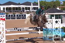 Filename=PT9_4434.JPG
Filesize=458KiB
Dimensions=1224x817
Date added=Jul 14, 2023 PT9_4434.JPG
