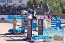 Filename=PT9_4435.JPG
Filesize=545KiB
Dimensions=1224x817
Date added=Jul 14, 2023 PT9_4435.JPG