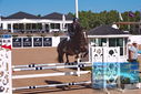 Filename=PT9_4443.JPG
Filesize=436KiB
Dimensions=1224x817
Date added=Jul 14, 2023 PT9_4443.JPG