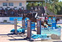 Filename=PT9_4445.JPG
Filesize=528KiB
Dimensions=1224x817
Date added=Jul 14, 2023 PT9_4445.JPG