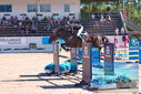 Filename=PT9_4446.JPG
Filesize=526KiB
Dimensions=1224x817
Date added=Jul 14, 2023 PT9_4446.JPG