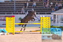 Filename=PT9_4447.JPG
Filesize=482KiB
Dimensions=1224x817
Date added=Jul 14, 2023 PT9_4447.JPG