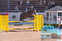 Filename=PT9_4448.JPG
Filesize=492KiB
Dimensions=1224x817
Date added=Jul 14, 2023 PT9_4448.JPG