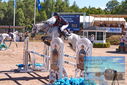 Filename=PT9_4451.JPG
Filesize=567KiB
Dimensions=1224x817
Date added=Jul 14, 2023 PT9_4451.JPG
