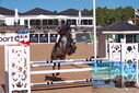 Filename=PT9_4452.JPG
Filesize=432KiB
Dimensions=1224x817
Date added=Jul 14, 2023 PT9_4452.JPG