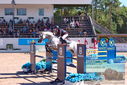 Filename=PT9_4454.JPG
Filesize=525KiB
Dimensions=1224x817
Date added=Jul 14, 2023 PT9_4454.JPG