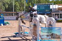 Filename=PT9_4460.JPG
Filesize=544KiB
Dimensions=1224x817
Date added=Jul 14, 2023 PT9_4460.JPG
