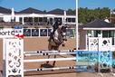 Filename=PT9_4461.JPG
Filesize=430KiB
Dimensions=1224x817
Date added=Jul 14, 2023 PT9_4461.JPG
