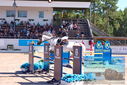 Filename=PT9_4463.JPG
Filesize=498KiB
Dimensions=1224x817
Date added=Jul 14, 2023 PT9_4463.JPG