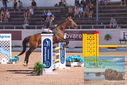 Filename=PT9_4467.JPG
Filesize=499KiB
Dimensions=1224x817
Date added=Jul 14, 2023 PT9_4467.JPG