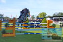 Filename=PT9_4906.JPG
Filesize=379KiB
Dimensions=1224x817
Date added=Jul 18, 2023 PT9_4906.JPG
