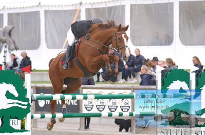 Alfarvad MA1 Springning Heste (135 cm) B7
Keywords: dm;pt;marie louise horstmann;hovgaards red moon