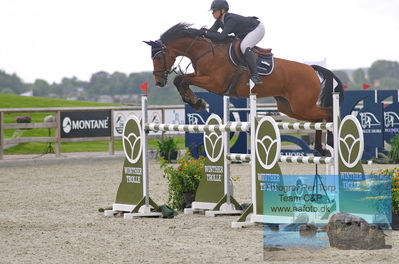 Alfarvad MA1 Springning Heste (135 cm) B7
Keywords: dm;pt;nikoline gulstad;crispi t