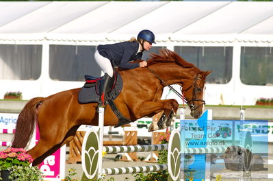 JME VVS LA2 Springning Heste (120 cm
Keywords: dm;pt;mia kruuse larsen;lipas diamond