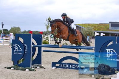 Rishøj Youngster B, 5-6-7 års
Keywords: dm;pt;catrine vith hansen;dickens