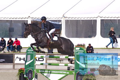 Flemming René Vinduespolering MA2 Springning Heste (140 cm) A
Keywords: dm;pt;nadia  siesbye suhr;kloevergaards dirty dancer